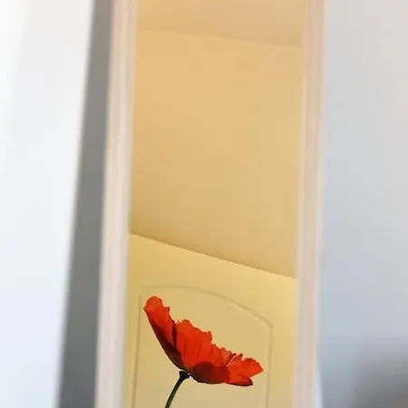 Elli's View Studio Apartment