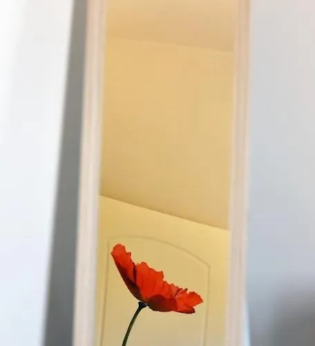 Elli's View Apartamento